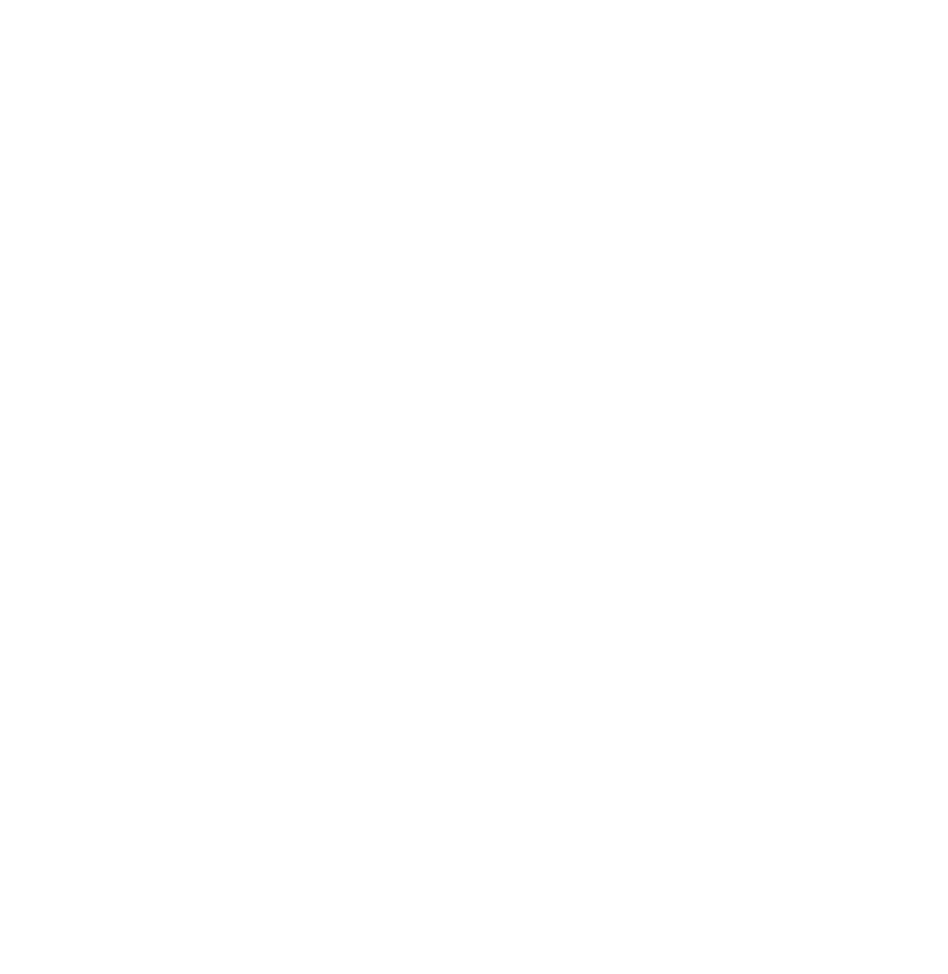 Castle Cleaning Logo